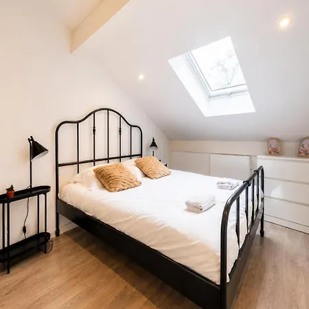 Daire Le 302 Jeanne D'Arc Climatise - Metz Center - 2 People *